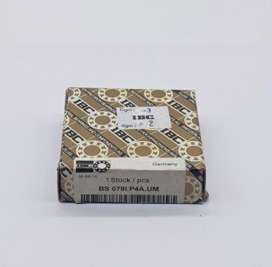 BS 078I P4A.DUH IBC RULMAN